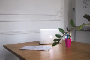 podłogi winylowe cena